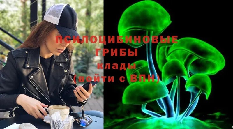 Галлюциногенные грибы Cubensis  гидра tor  Бологое  где можно купить наркотик 